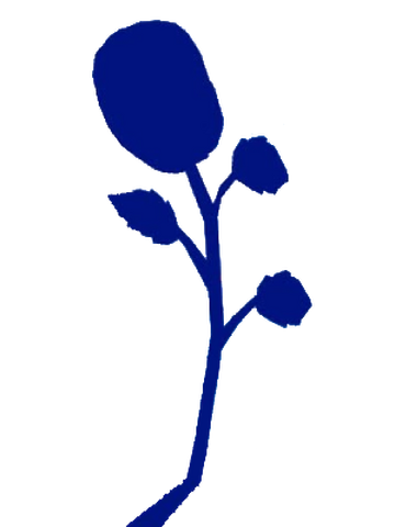 Blox Fruits: Guia Definitivo para Encontrar as Flores Blue, Red e