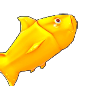Golden Carp