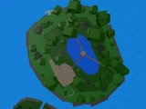 Jungle