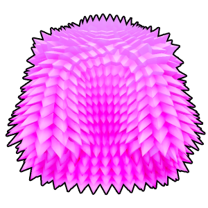 Red Spikey Coat, Blox Fruits Wiki