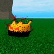 Leopard’s old physical fruit.