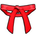 Dojo Belt (Red)