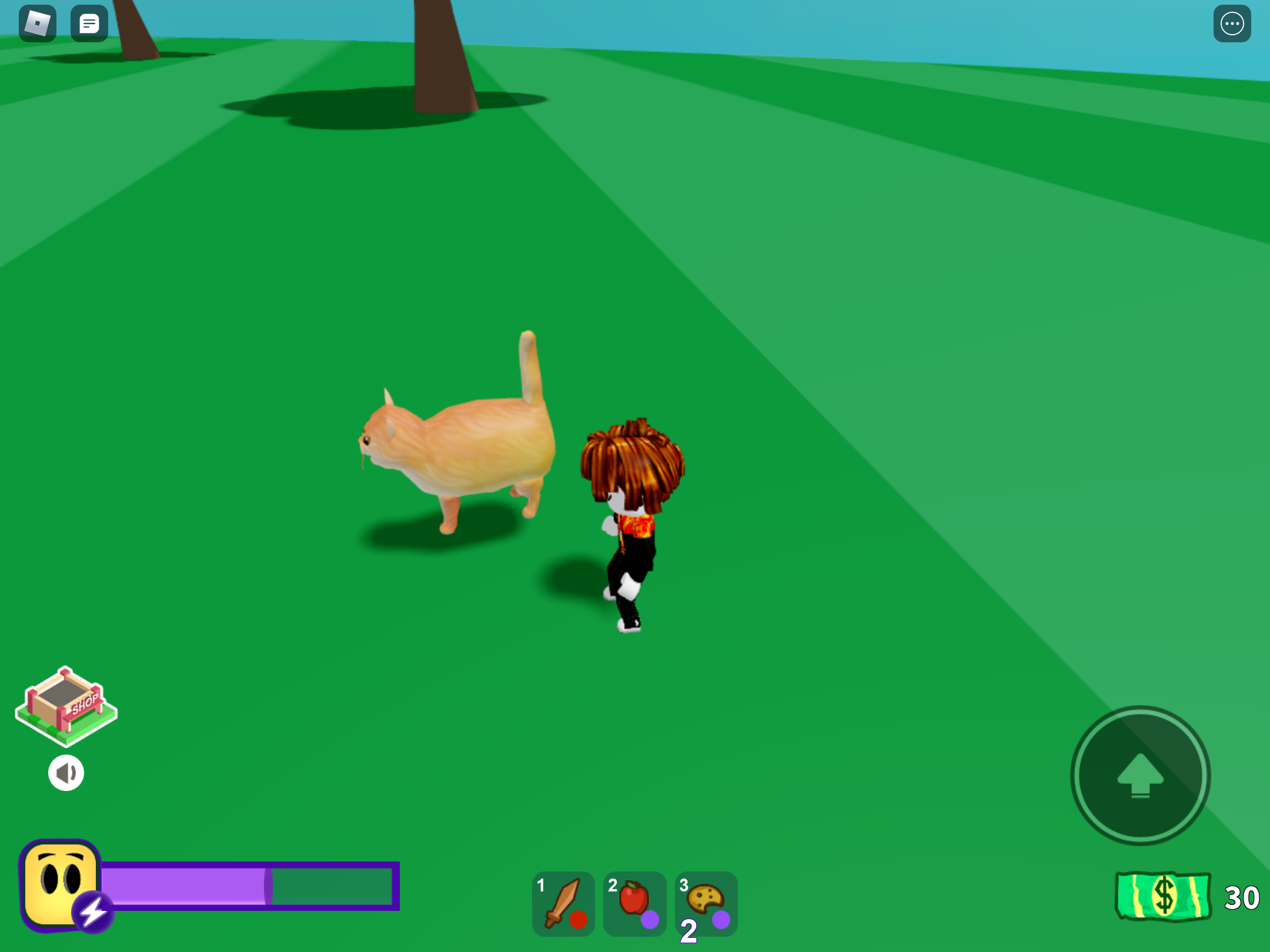 Secret Cat Roblox Break In Wiki Fandom - cats in roblox have gone crazy