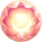 Rebirth