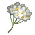 Misty Flower, Roblox Dragon Blade RPG Wiki