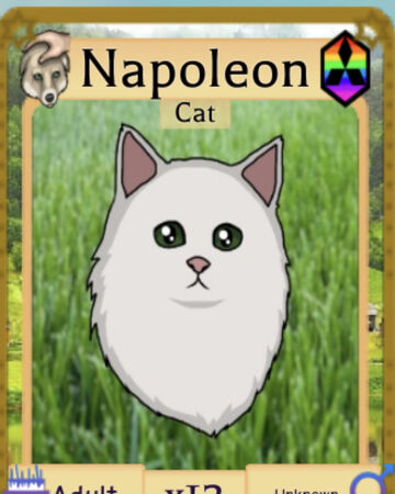 Napoleon Cat Roblox Farm World Wiki Fandom - kitsune roblox farm world
