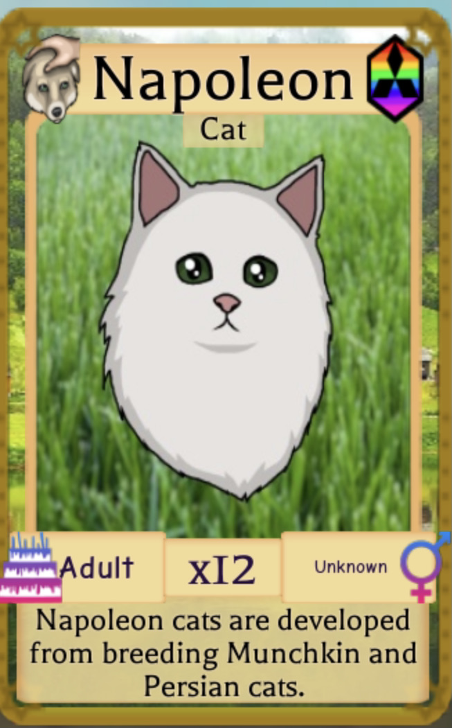 Farm cat - Wikipedia