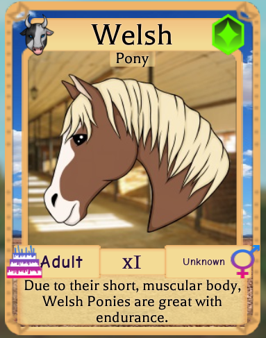 Welsh Pony Roblox Farm World Wiki Fandom - horse world roblox how to run