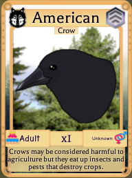 American Crow Roblox Farm World Wiki Fandom - videos and the crow in roblox
