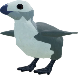 Hatchling