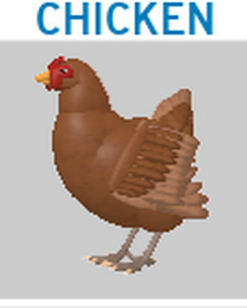Chicken Roblox Feather Family Wiki Fandom - the rooster roblox