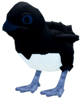 Hatchling