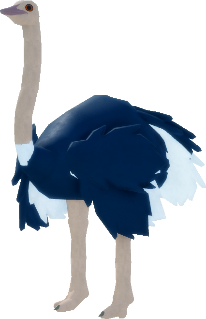 Ostrich, Feather Family Wiki
