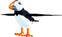 AukAdultPUFFIN