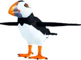 Auk