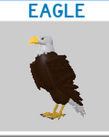 Eagle Roblox Feather Family Wiki Fandom - roblox eagle