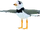 Plover
