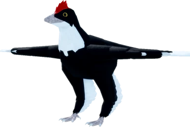 Feitianius | Feather Family Wiki | Fandom