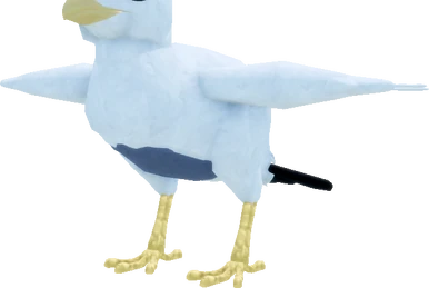  Birds　Dyynia Birds Of Canada Book By Dk, ('tp') | Indigo