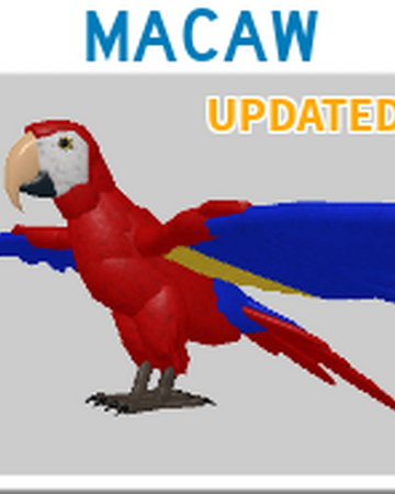 Macaw Roblox Feather Family Wiki Fandom - code for pet parrrot roblox