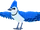 Jay
