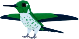 Female