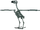 Skeleton