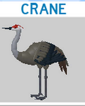 Crane Roblox Feather Family Wiki Fandom - roblox crane