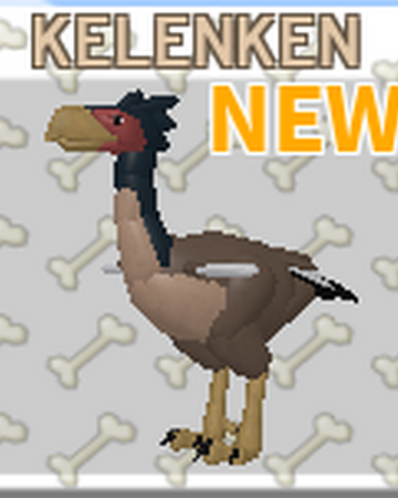 Kelenken Roblox Feather Family Wiki Fandom - bird head roblox