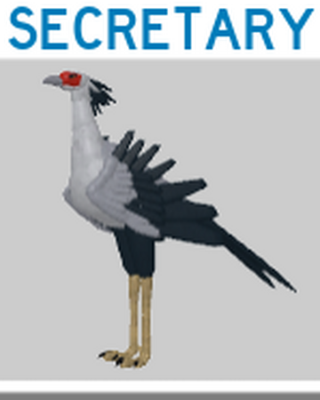 Secretary Roblox Feather Family Wiki Fandom - bird roblox game