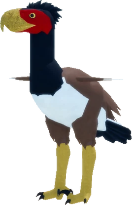 Adult