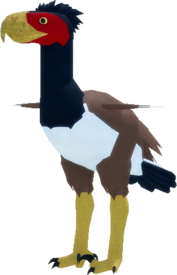 What is the Biggest Bird in Feather Family: Discover the Giant!