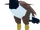 Kelenken