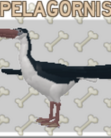 Pelagornis Roblox Feather Family Wiki Fandom - feather family roblox codes