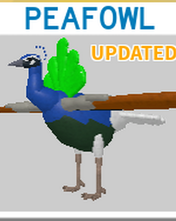 Roblox Feather Family Dodo Bird