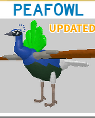 Peafowl Roblox Feather Family Wiki Fandom - roblox sex morph