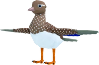 DuckHenMANDARIN