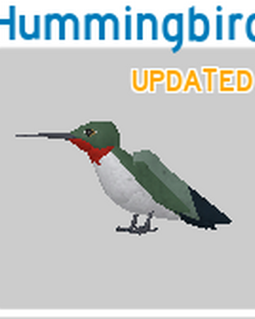 Hummingbird Roblox Feather Family Wiki Fandom - roblox feather family hummingbird crane map exploration day