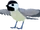 Chickadee