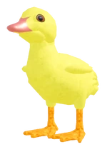 DuckHatchlingPEKINMALLARDpng