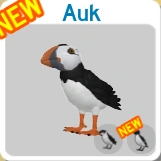 Auk on the menu screen.