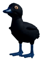 DuckHatchlingCAYUGAMALLARD