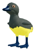 DuckHatchlingSWEDISHBLUEMALLARD