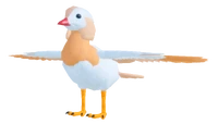 DuckMaleDOMESTICWHITEMANDARIN