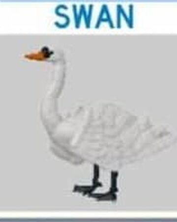 Swan Roblox Feather Family Wiki Fandom - roblox feather family cockatrice