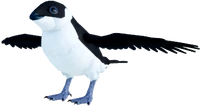 AukAdultDOVEKIE
