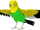 Parakeet