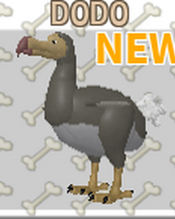 Dodo Roblox Feather Family Wiki Fandom - dodo bird roblox