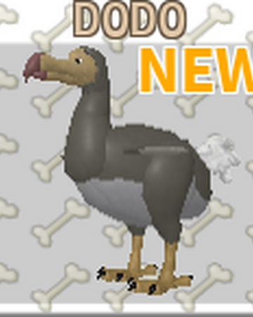 roblox feather family dodo bird