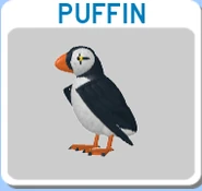 Puffin Auk's old model on the menu screen.